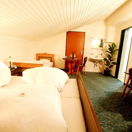Sonnleitn Hotell Jenig
